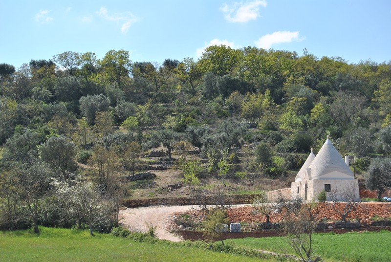 Die Valle d'Itria, das Tal der Trulli schlechthin