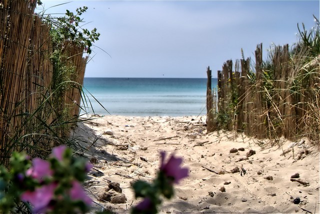 The Ionian Coast