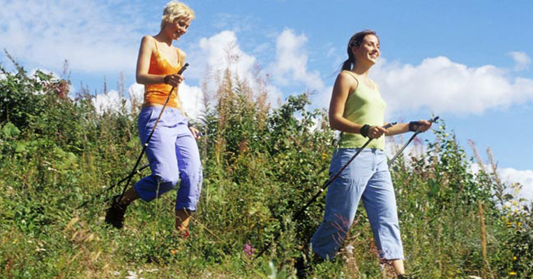 Excursions et visites guidées