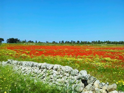 Il Territorio nei Dintorni di Santa Maria di Leuca