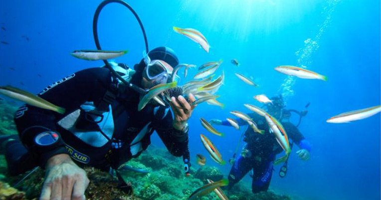 Guided scuba diving