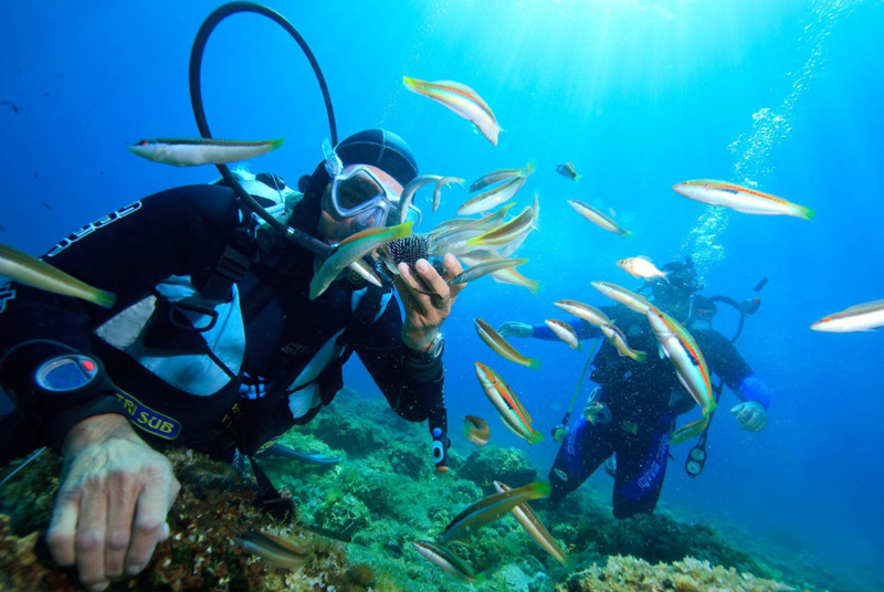 guided scuba diving